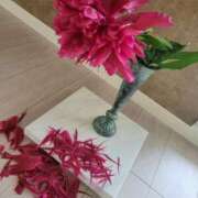 ヒメ日記 2025/06/07 15:12 投稿 鮎川みどり SUMIRE