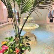 ヒメ日記 2025/07/10 08:20 投稿 鮎川みどり SUMIRE