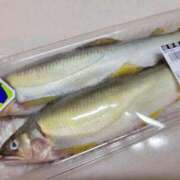 ヒメ日記 2025/07/18 05:39 投稿 鮎川みどり SUMIRE