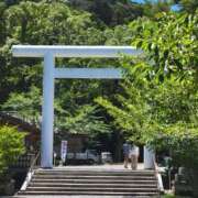 ヒメ日記 2025/07/26 07:20 投稿 鮎川みどり SUMIRE