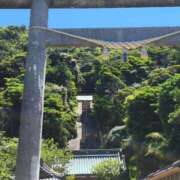 ヒメ日記 2025/07/29 08:15 投稿 鮎川みどり SUMIRE