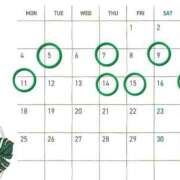 ヒメ日記 2025/08/05 06:40 投稿 鮎川みどり SUMIRE