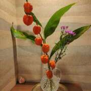 ヒメ日記 2025/08/22 16:44 投稿 鮎川みどり SUMIRE