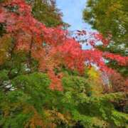 ヒメ日記 2025/11/06 15:54 投稿 鮎川みどり SUMIRE