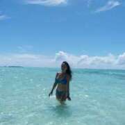 ヒメ日記 2025/11/27 07:02 投稿 鮎川みどり SUMIRE