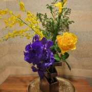 ヒメ日記 2025/12/06 19:14 投稿 鮎川みどり SUMIRE