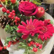 ヒメ日記 2025/12/22 08:21 投稿 鮎川みどり SUMIRE