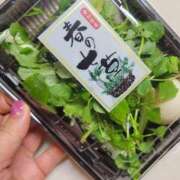 ヒメ日記 2026/01/07 07:40 投稿 鮎川みどり SUMIRE