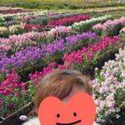 ヒメ日記 2026/02/13 17:23 投稿 鮎川みどり SUMIRE