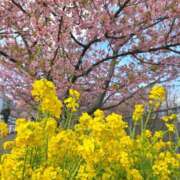 ヒメ日記 2026/02/28 19:05 投稿 鮎川みどり SUMIRE