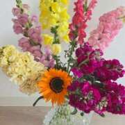 ヒメ日記 2026/03/22 06:58 投稿 鮎川みどり SUMIRE