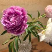 ヒメ日記 2026/06/07 09:21 投稿 鮎川みどり SUMIRE