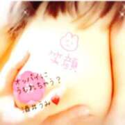 ヒメ日記 2025/07/29 08:15 投稿 酒井　うみ エテルナ京都