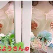 ヒメ日記 2025/11/12 07:15 投稿 酒井　うみ エテルナ京都