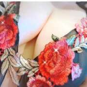 ヒメ日記 2025/11/14 10:15 投稿 酒井　うみ エテルナ京都