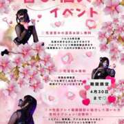 ヒメ日記 2025/03/09 15:13 投稿 ゆうり 五反田アンジェリーク