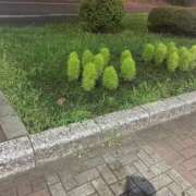 ヒメ日記 2025/07/13 12:15 投稿 ゆうり 五反田アンジェリーク