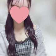 ヒメ日記 2025/04/25 19:30 投稿 あん 清楚系美女専門店PLATINUMプラチナム四日市店