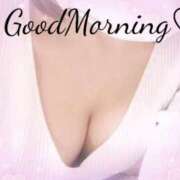 ヒメ日記 2025/03/17 09:14 投稿 藤森 川崎人妻城