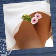 ヒメ日記 2026/03/22 11:15 投稿 藤森 川崎人妻城