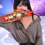 ヒメ日記 2025/04/05 09:03 投稿 アイリ ドMな奥さん 日本橋店