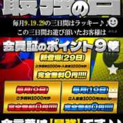 ヒメ日記 2025/04/09 13:14 投稿 アイリ ドMな奥さん 日本橋店