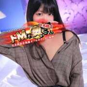 ヒメ日記 2025/04/12 13:04 投稿 アイリ ドMな奥さん 日本橋店