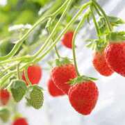 ヒメ日記 2025/03/21 21:18 投稿 森下かおる 五十路マダム愛されたい熟女たち 倉敷店（カサブランカグループ）