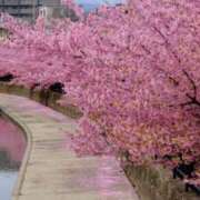 ヒメ日記 2025/03/23 16:36 投稿 森下かおる 五十路マダム愛されたい熟女たち 倉敷店（カサブランカグループ）