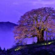 ヒメ日記 2025/04/13 15:26 投稿 森下かおる 五十路マダム愛されたい熟女たち 倉敷店（カサブランカグループ）