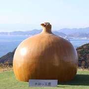 ヒメ日記 2025/04/14 16:22 投稿 森下かおる 五十路マダム愛されたい熟女たち 倉敷店（カサブランカグループ）