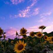 ヒメ日記 2025/07/26 20:42 投稿 森下かおる 五十路マダム愛されたい熟女たち 倉敷店（カサブランカグループ）