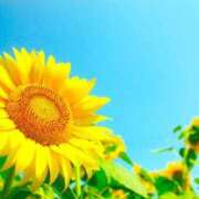 ヒメ日記 2025/08/10 21:28 投稿 森下かおる 五十路マダム愛されたい熟女たち 倉敷店（カサブランカグループ）