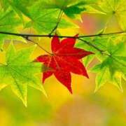 ヒメ日記 2025/09/08 16:28 投稿 森下かおる 五十路マダム愛されたい熟女たち 倉敷店（カサブランカグループ）