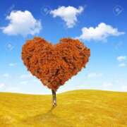 ヒメ日記 2025/11/13 13:54 投稿 森下かおる 五十路マダム愛されたい熟女たち 倉敷店（カサブランカグループ）