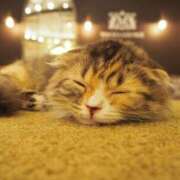 ヒメ日記 2025/12/06 21:28 投稿 森下かおる 五十路マダム愛されたい熟女たち 倉敷店（カサブランカグループ）