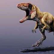 ヒメ日記 2026/01/26 19:56 投稿 森下かおる 五十路マダム愛されたい熟女たち 倉敷店（カサブランカグループ）