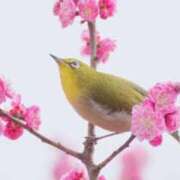 ヒメ日記 2026/03/06 16:44 投稿 森下かおる 五十路マダム愛されたい熟女たち 倉敷店（カサブランカグループ）