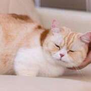 ヒメ日記 2026/03/21 14:00 投稿 森下かおる 五十路マダム愛されたい熟女たち 倉敷店（カサブランカグループ）