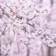 ヒメ日記 2026/04/02 20:06 投稿 森下かおる 五十路マダム愛されたい熟女たち 倉敷店（カサブランカグループ）