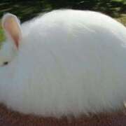 ヒメ日記 2026/04/03 20:30 投稿 森下かおる 五十路マダム愛されたい熟女たち 倉敷店（カサブランカグループ）