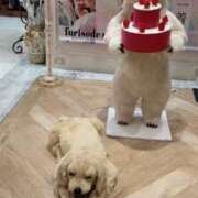 ヒメ日記 2025/02/10 08:29 投稿 はつね 奥様鉄道69 東京店