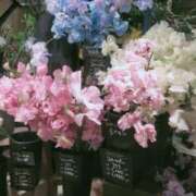 ヒメ日記 2025/03/05 08:25 投稿 はつね 奥様鉄道69 東京店