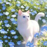 ヒメ日記 2025/05/18 11:25 投稿 はつね 奥様鉄道69 東京店