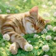 ヒメ日記 2025/05/31 22:58 投稿 はつね 奥様鉄道69 東京店