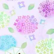 ヒメ日記 2025/06/05 15:40 投稿 はつね 奥様鉄道69 東京店