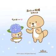 ヒメ日記 2025/06/11 10:37 投稿 はつね 奥様鉄道69 東京店