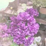 ヒメ日記 2025/06/21 11:25 投稿 はつね 奥様鉄道69 東京店