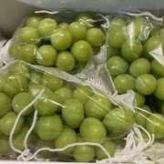 ヒメ日記 2025/06/27 07:05 投稿 はつね 奥様鉄道69 東京店