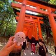 ヒメ日記 2025/07/17 06:15 投稿 はつね 奥様鉄道69 東京店